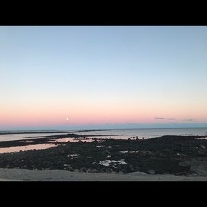 Meet your Posher, Coco